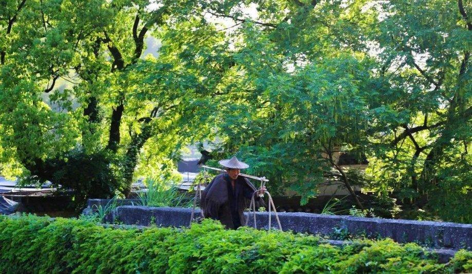 深中华A止步12连板